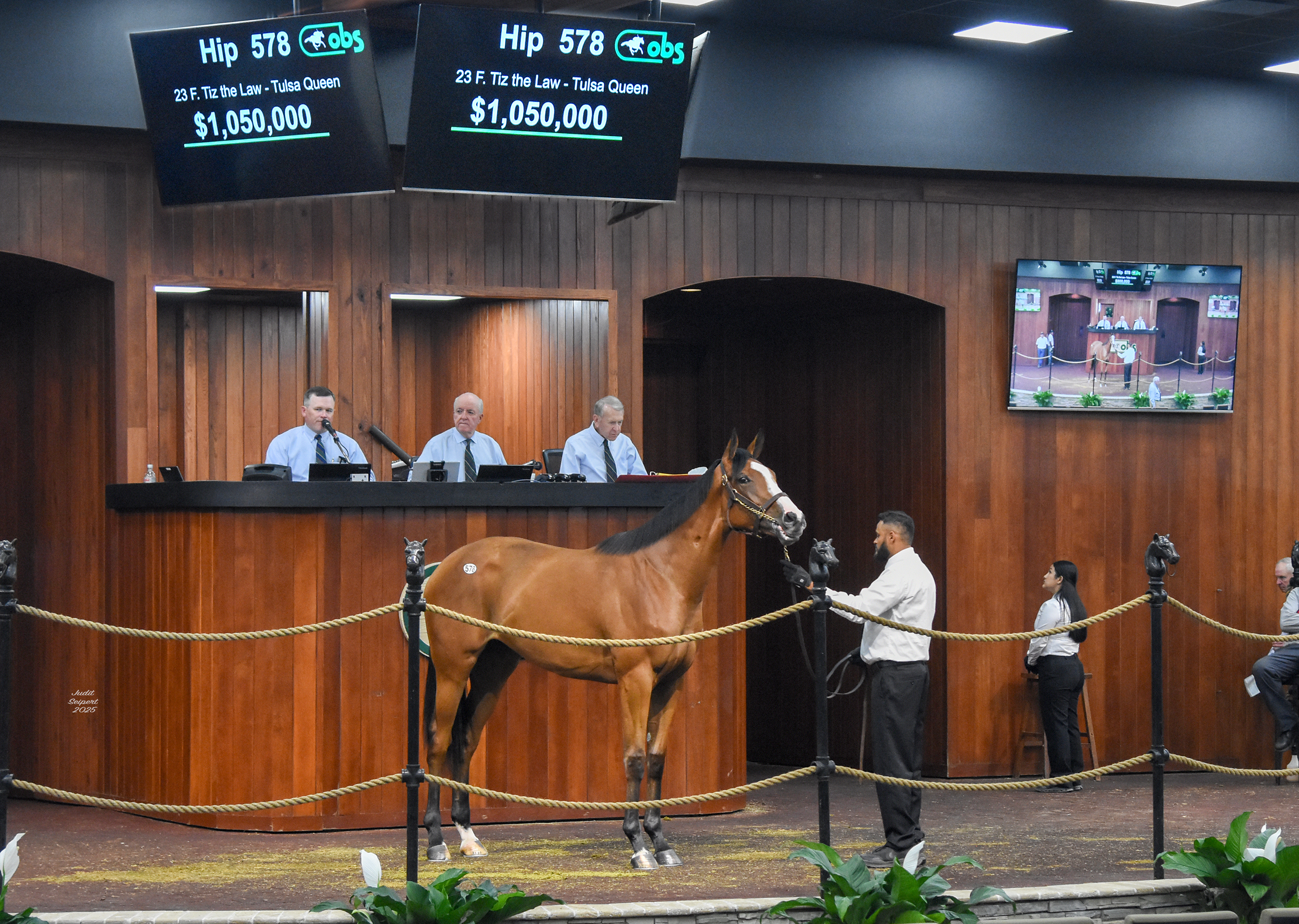 578ring_7714.jpg#asset:71557