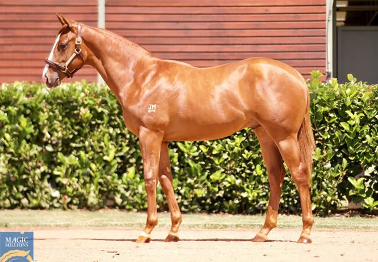 Justify-x-tatiara-_750.jpg#asset:50397