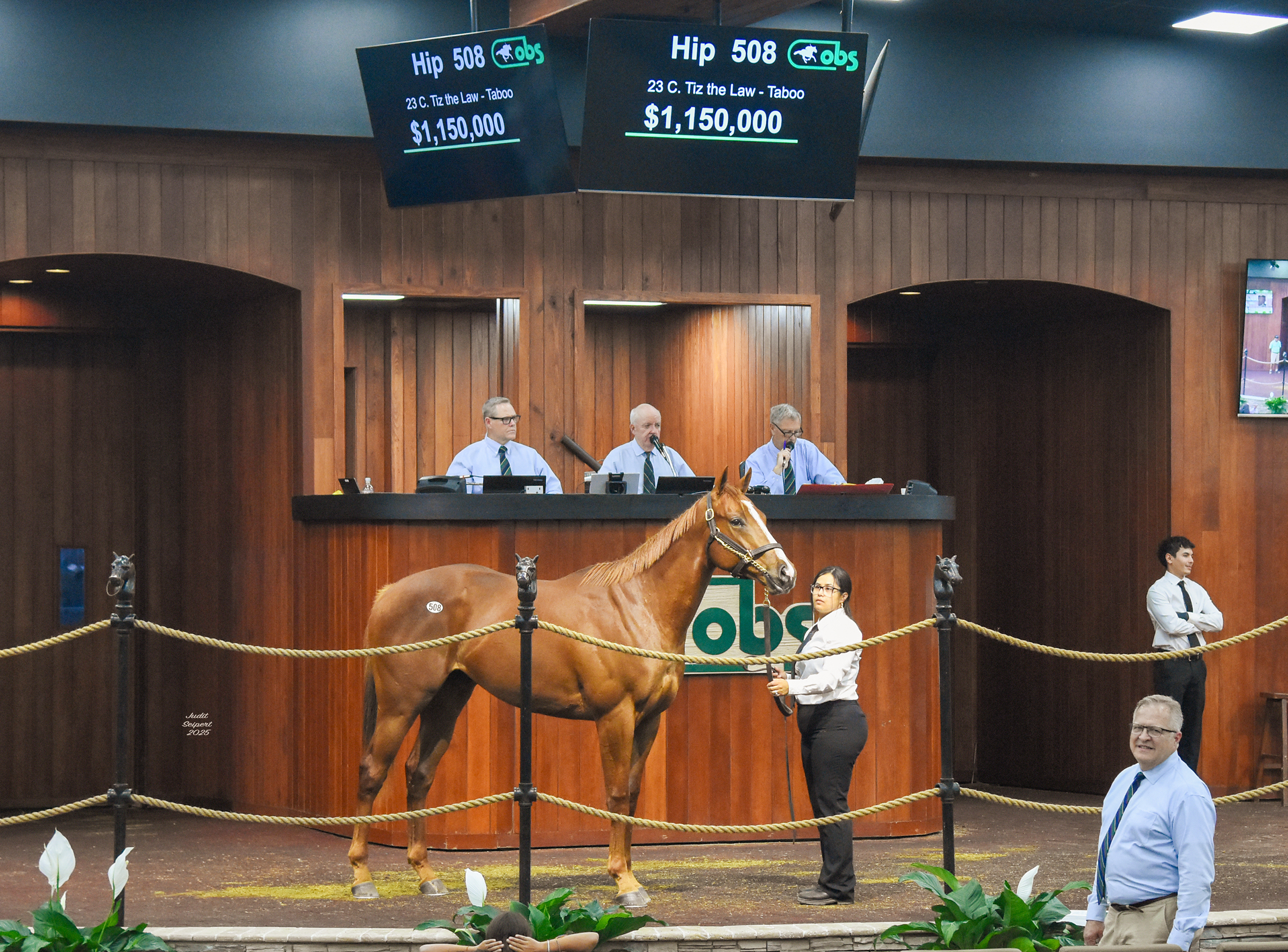 PM-508ring_7632.jpg#asset:71558