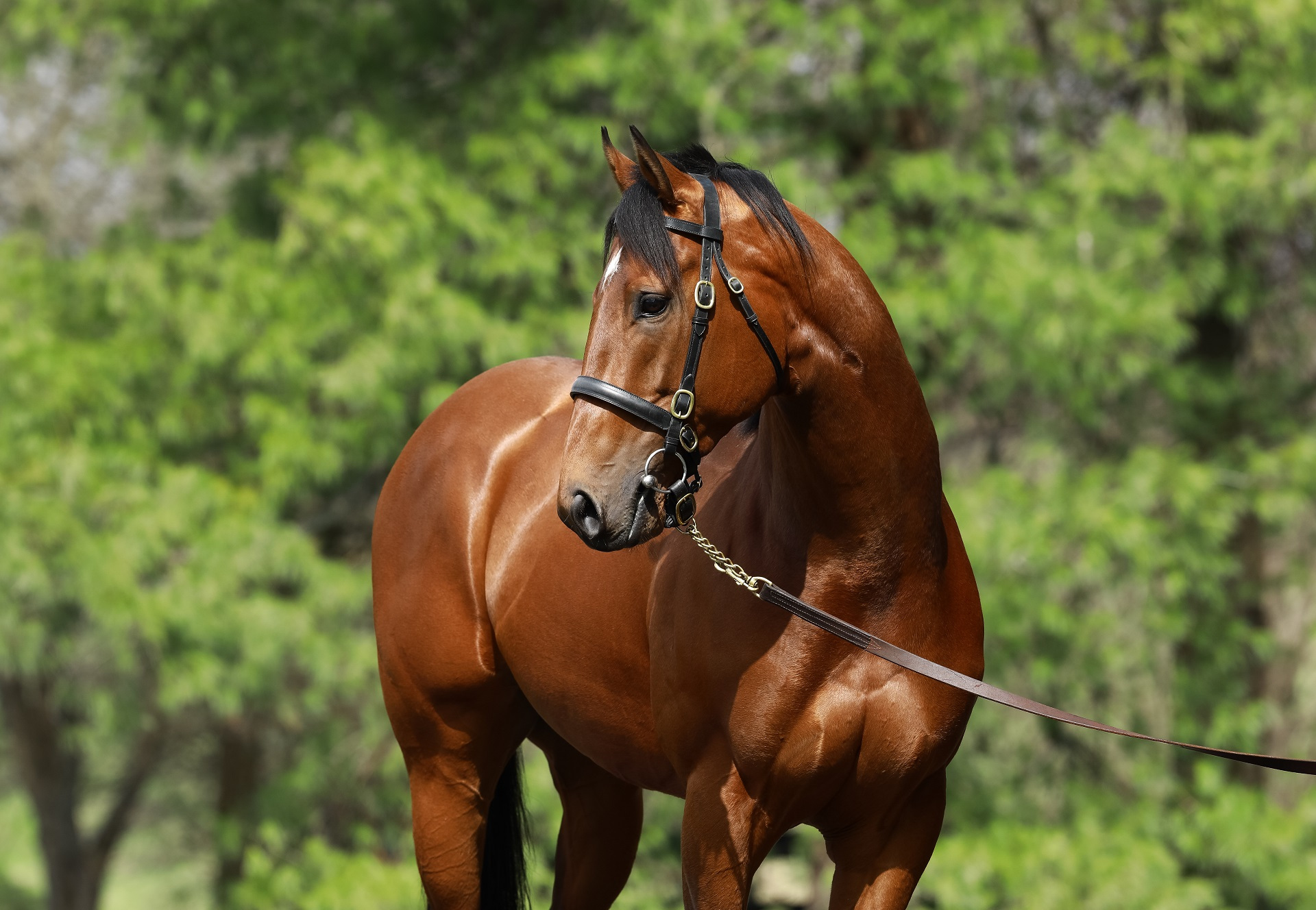 Practical-Joke-head-shot.jpg#asset:15718