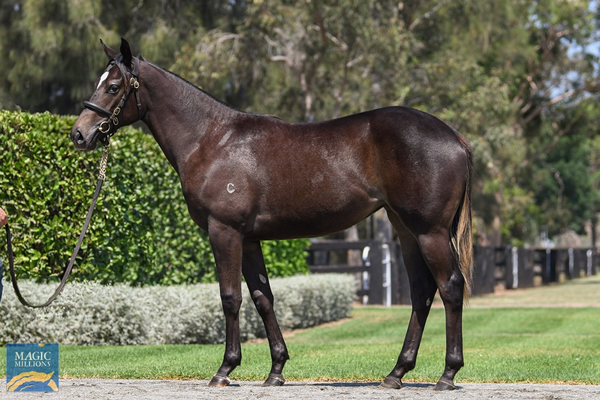 WB-x-Avantage.jpg#asset:50345