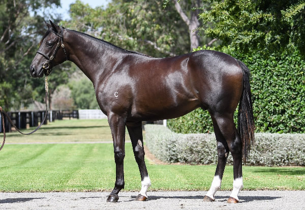 WB-x-Fanatic.jpg#asset:53045