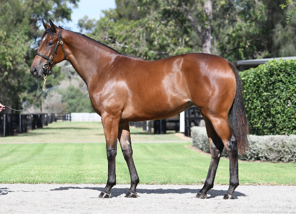 WB-x-Qafila.jpg#asset:53046