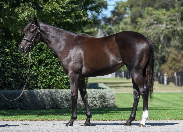 WB-x-Rostova.jpg#asset:53047