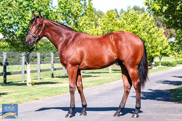 WB-x-Tiare.jpg#asset:50343