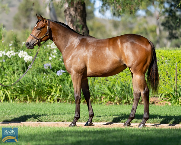 WB-x-butters.jpg#asset:50344