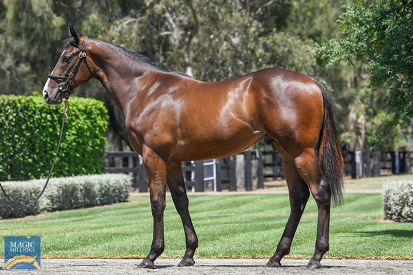 WB-x-invincibella.jpg#asset:50347