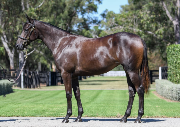 WB-x-mizzy.jpg#asset:53048