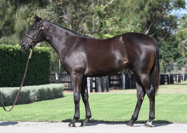 WB-x-sunlight.jpg#asset:53044