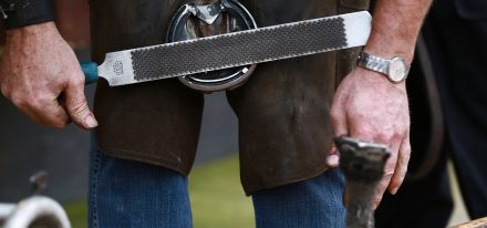 Balldyoyle Carousel 2