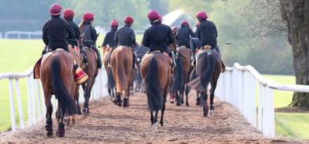 Balldyoyle Carousel 3