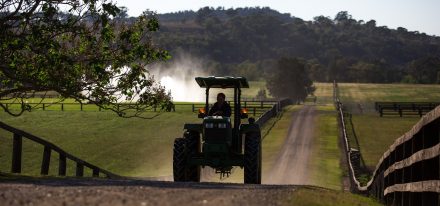 Australia Farm Carousel (Tractor)