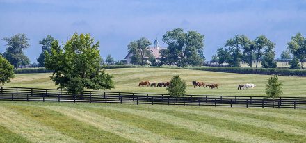 Employment Carousel 2