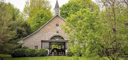 Employment Carousel 3