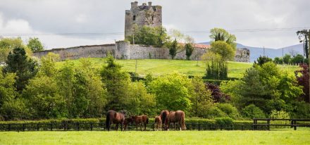 Ireland Boarding Carousel