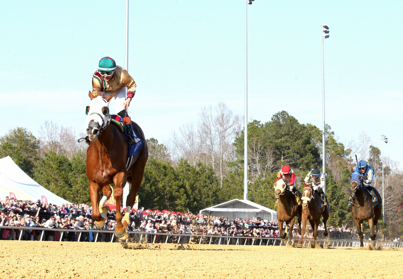 American Promise (Justify) Wins The Virginia Derby