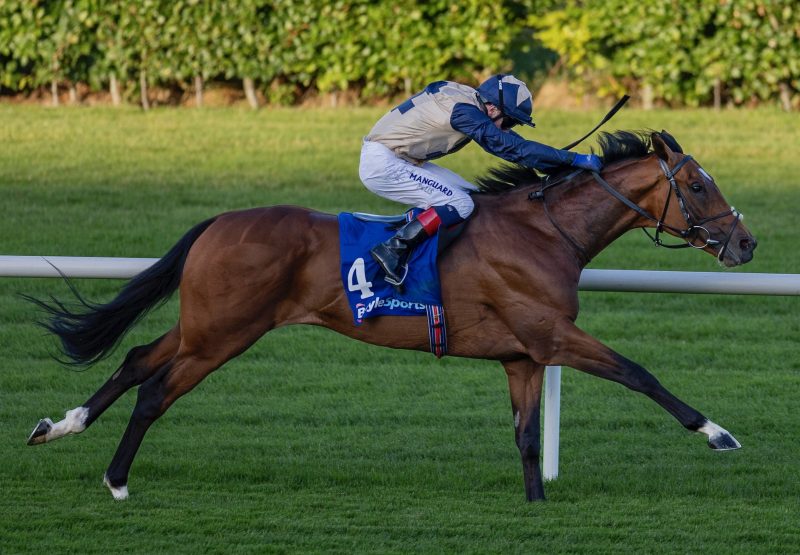 Aeronautic (Gleneagles) Impresses At Leopardstown