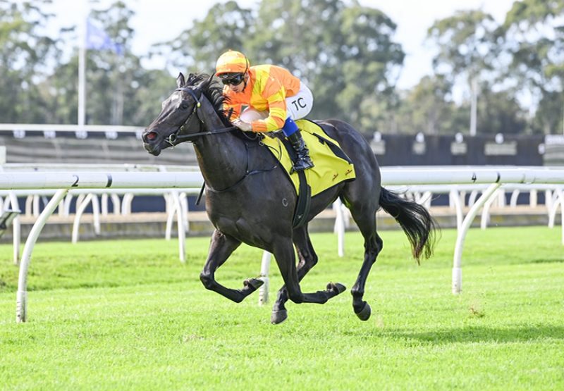 Agarwood (Wootton Bassett) Wf 750