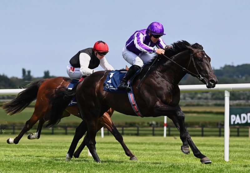 Albert Einstein (Wootton Bassett) Wins On Debut At Naas