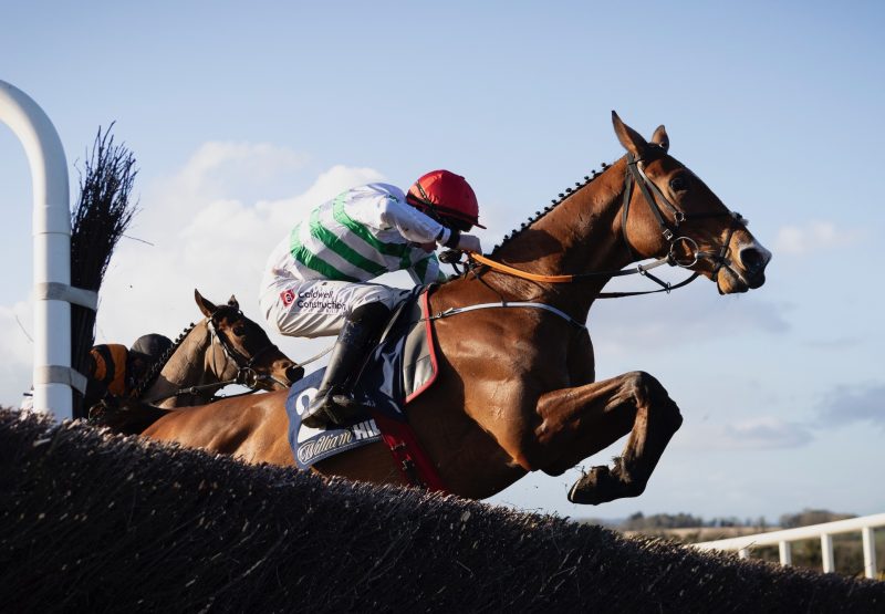 American Mike (Mahler) Wins The Grade 2 Novice Chase At Navan