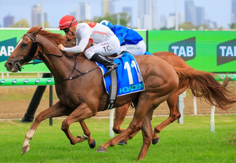 Axius Mm Gold Coast 750