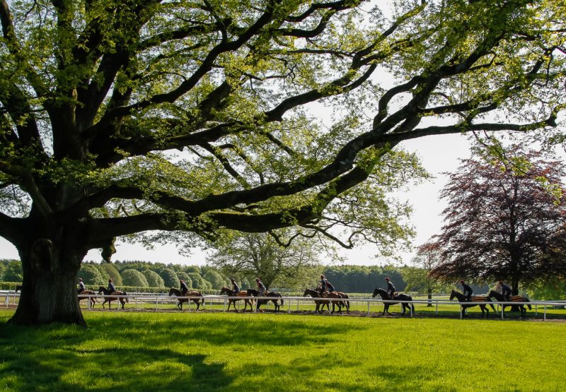 Balldyoyle Carousel 4