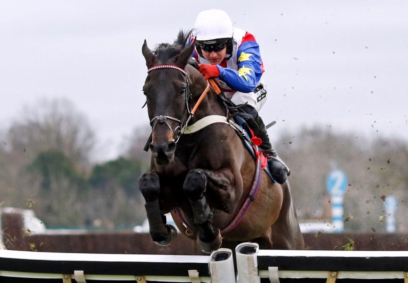 Baron Noir Vadamos Kempton Jumping