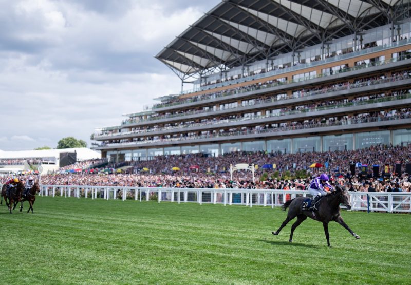 Bedtime Story (Frankel) Wins The Chesham Stakes