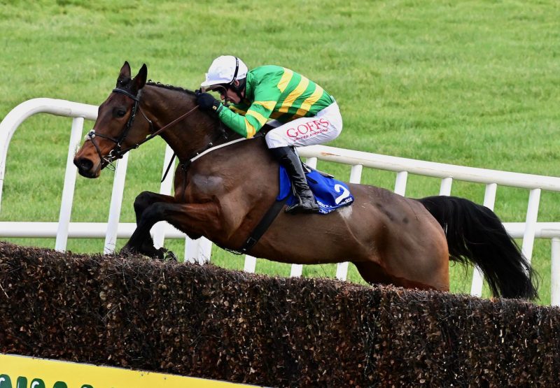 Bioluminescene (Walk In The Park) Wins The Grade 2 Dawn Run Mares Novice Chase