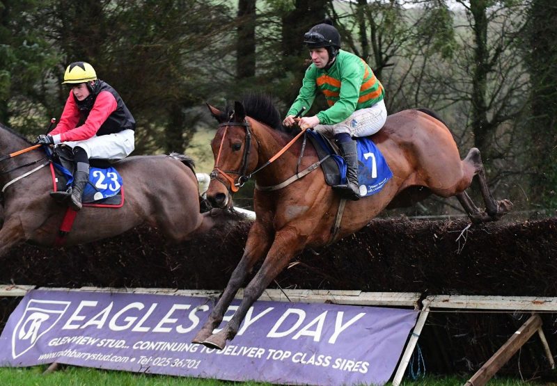 Border Lad Maxios Aghabullogue