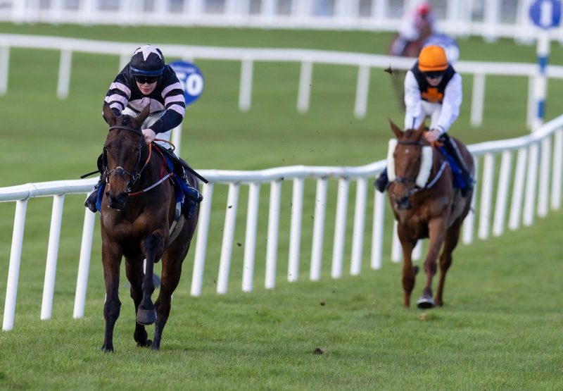 Broomfield Bijou (Walk In The Park) Wins The Mares Maiden Hurdle At Ballinrobe
