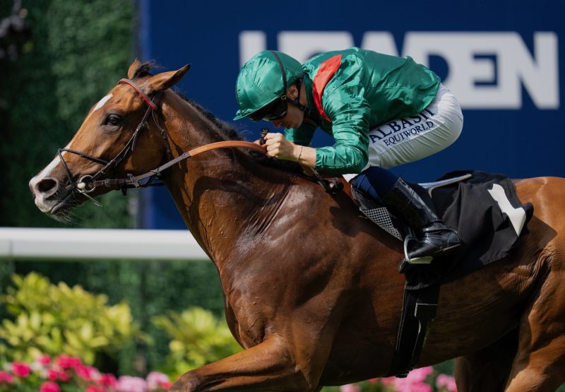 Calandagan (gleneagles) Wins The King George