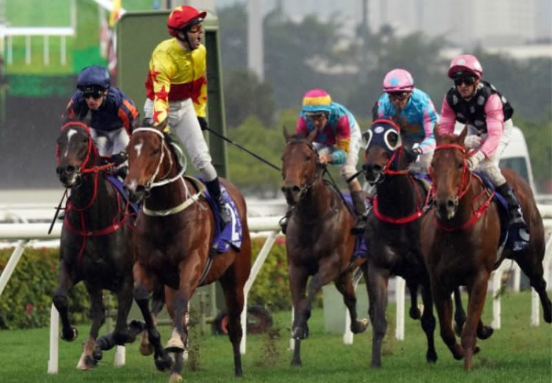 California Spangle (Starspangledbanner) winning the Gr.1 Silver Jubilee Cup at Sha Tin
