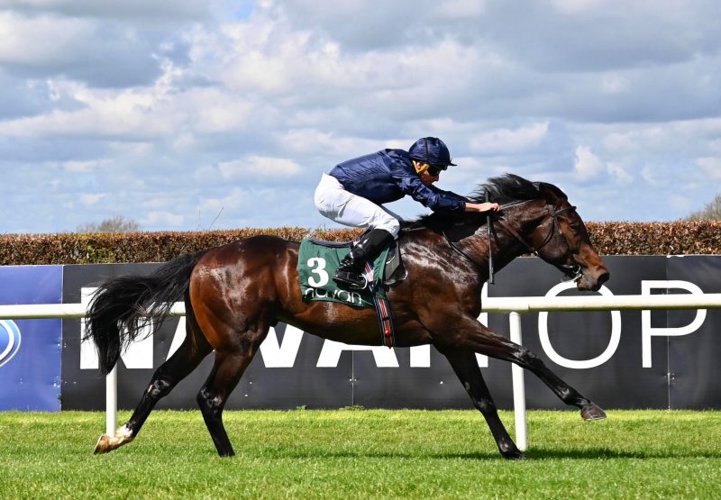 Charles Darwin (No Nay Never) Impresses At Navan