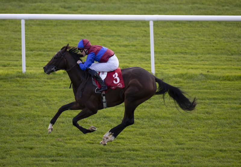 Charles Fort St Marks Basilica Cork