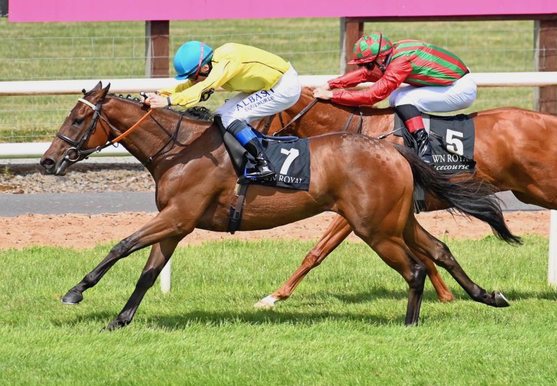 Cherry Bloom (Holy Roman Emperor) Wins Her Maiden At Down Royal