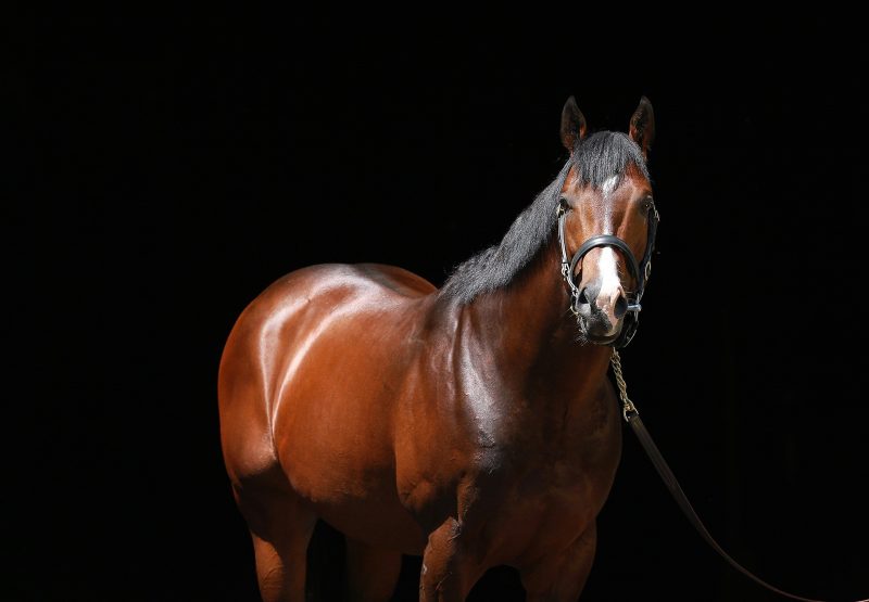 Classic Empire Head Shot