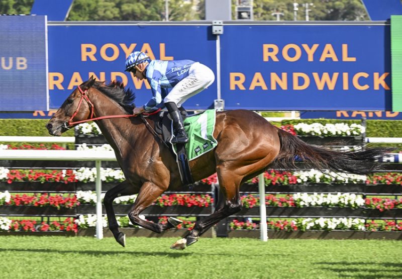 Cool Jakey Randwick 750