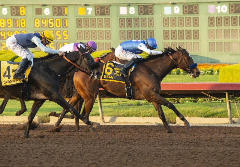 Eda (Munnings) winning the Gr.1 Starlet Stakes at Los Alamitos