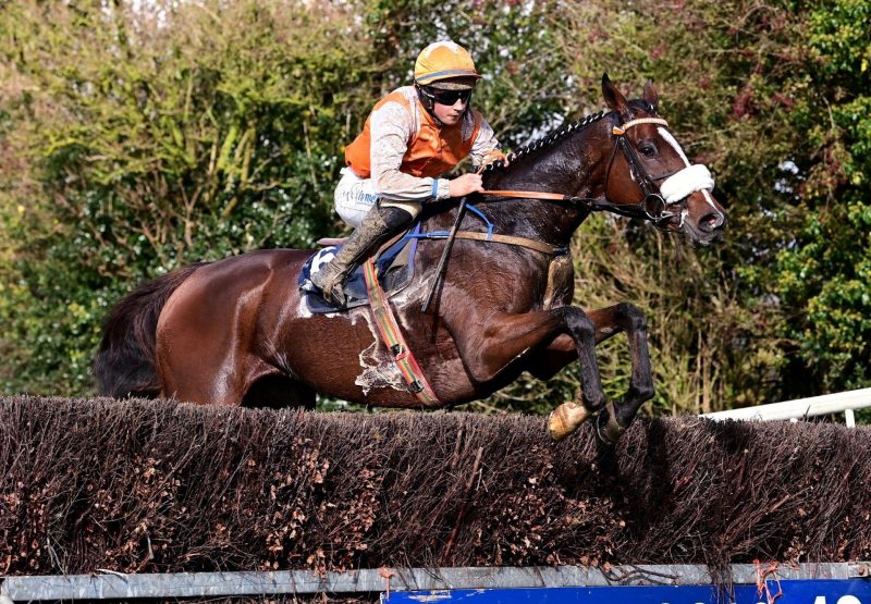 Empire Soldier Walk In The Park Tinahely