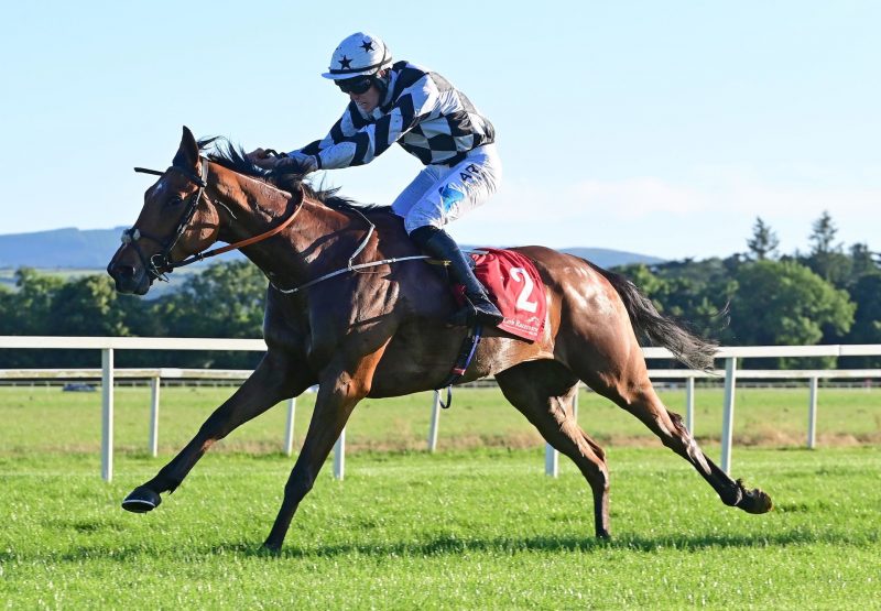 Encanto Bruno (Mahler) Makes A Winning Debut At Cork