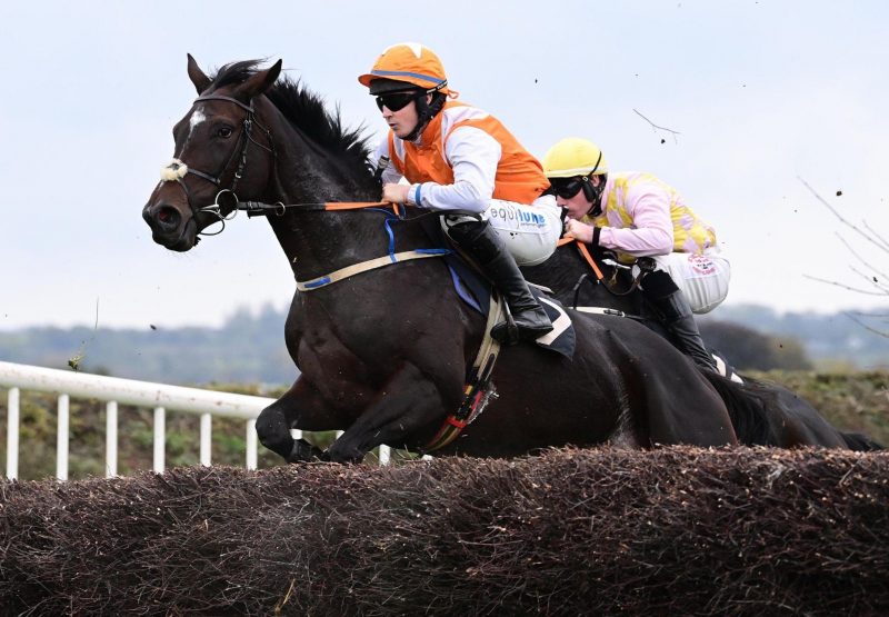 Eskylady Maxios Loughanmore