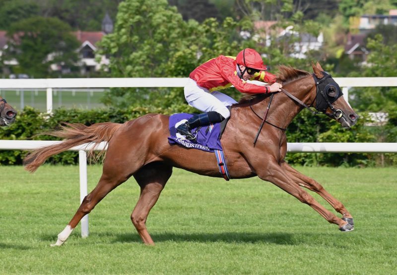 Fernando Vichi (Australia) Wins The Listed Nijinsky Stakes At Leopardstown