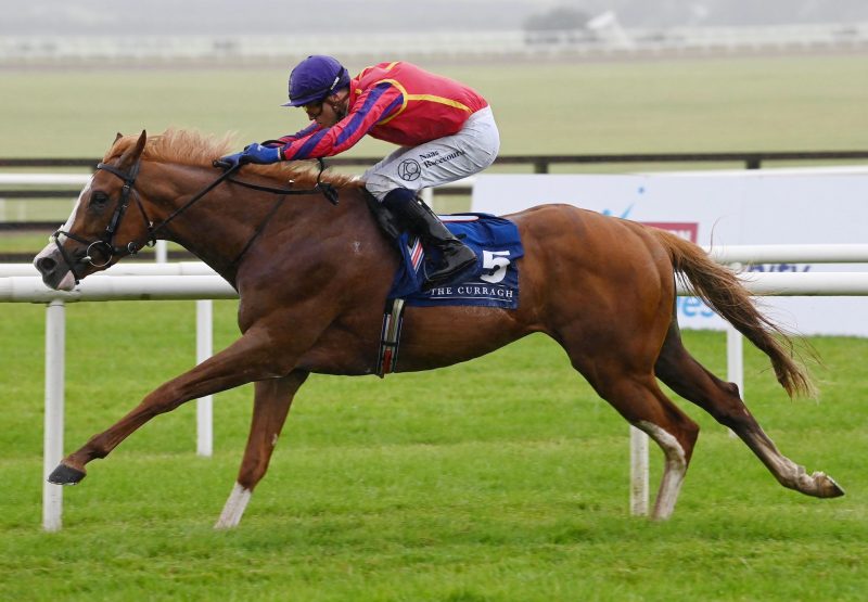 Galen (Gleneagles) Wins A Curragh Maiden