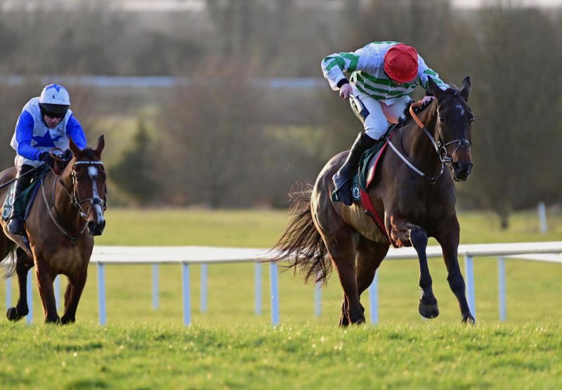 Ginto (Walk In The Park) Wins The Bumper At Navan