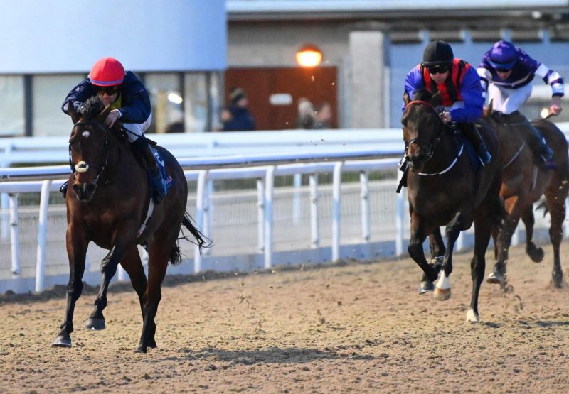 Goldinthesea No Nay Never Dundalk