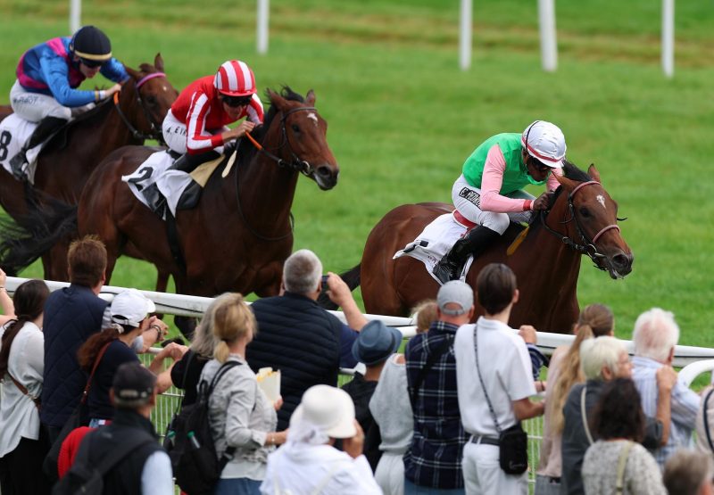 Gostam (Saxon Warrior) Baden Baden