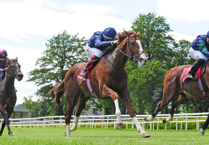 Hadman (Starspangledbanner) Wins His Maiden At Gowran Park