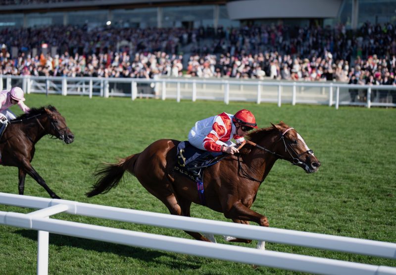 Hand Of God (Churchill) Wins The Golden Gate Stakes