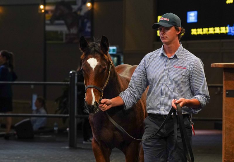 Home Affairs X Dancing Express